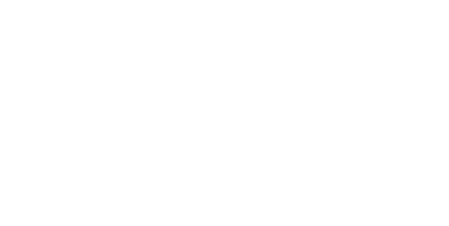 Apple Premium Business Partner